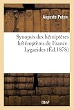Synopsis des hémiptères hétéroptères de France. Lygaeides