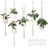 XDDIAS Suspension Plante, 5 Suspendu macramé Plante