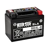 BS battery 300665 bb4l-B AGM SLA Moto Batterie, noir