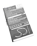 vhbw Batterie Compatible avec Apple iPad 2, 2 16GB