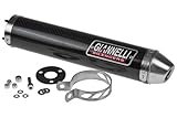 Silencieux Giannelli Aprilia 125 RS (carbone)