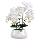 VIVILINEN Fleurs Artificielles Fausses Feurs de Phalaenopsis