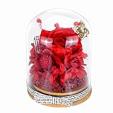 Naturelle Rose Eternelle sous Cloche, AOKKR Rose Rouge
