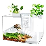 Aquarium, kit d'habitat pour Tortues avec Zone Multifonction