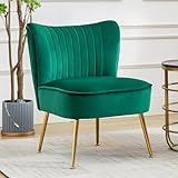 Ya-Home Fauteuil de Salon Confortable en Velours Fauteuils