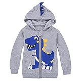 MIXIDON Enfants Garçons Sweat À Capuche Dinosaure Zipper
