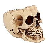 Nemesis Now Lobo Cendrier Ivoire 13,5 cm