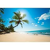 Aoihrraan 3x2m Toile de Fond de Plage Tropicale Bord