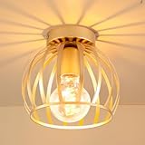 iDEGU Vintage Plafonnier Industriel en Métal Cage Suspensions