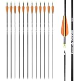 ELONG OUTDOOR 28 Pouces Flèche de Carbone 12 pcs, Tir