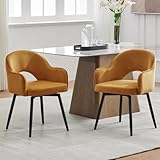 chairus Lot de 2 Chaises de Salle à Manger en Velours