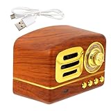 GARIOUANS Mini Haut-Parleur Vintage Décoratif pour