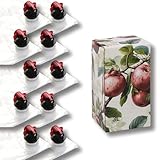 AGRI plus Bag-in-Box Lot de 10 sacs à jus de 3 litres