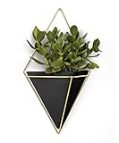 Umbra Trigg Jardinière Suspendue et Décoration Murale