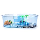 Nobleza - Aquarium de Tortue avec Palmier, Terrarium