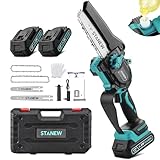 Mini Tronçonneuse à Batterie Brushless STANEW 6 pouces