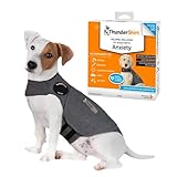 ThunderShirt Gilet relaxant pour Chiens. Rassure lors
