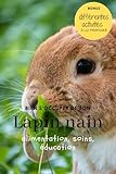 Bien s'occuper de son Lapin nain: alimentation, accessoires,