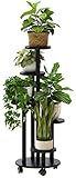 kiplant Support de plantes noir avec roulettes, 5 niveaux,