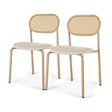 UnboxGermany Lot de 2 Chaises de Salle à Manger en