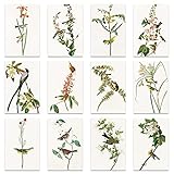 Berkin Arts Cartes de Vœux d'Art pour Toutes Occasions,