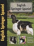 English Springer Spaniel