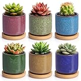 T4U 6cm Pots de Plantes en Céramique Zisha avec Plateau