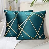 Velours Housse de Coussin 45 x 45Cm Coussin Bleu Vert