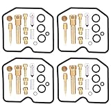 HouYeen Kit de réparation pour carburateur de moto