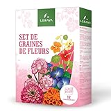 LERAVA® Graines fleurs à semer - Haute qualité et grande