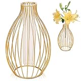 Vase À Fleurs En Verre, Senteen Vase Fer Forgé Hydroponique