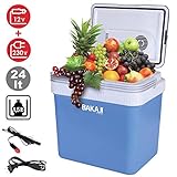 Bakaji Réfrigérateur Électrique 24LT 12/220V Maison