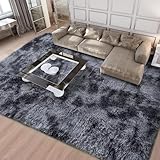 Calore Tapis de Salon Shaggy Moderne Interieur Confortable