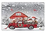 LB Tapis de bain de Noël rustique : cochon, âne, vache