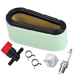 oXoXo 496894 Air Filter with Fuel Filter 394358 and