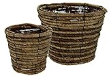 Lot de paniers en Osier avec revêtement en Film Plastique
