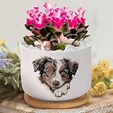 Yelolyio Pot de fleurs de berger australien - Pots
