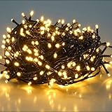 SALCAR Guirlande Lumineuse 5M 50 LED, Éclairage Sapin