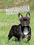 Le Bouledogue français