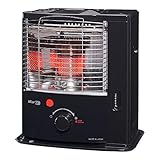 Zibro RS 220, Noir 220