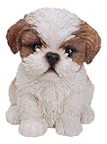 Vivid Arts Chiot Shih Tzu marron, blanc