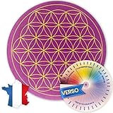 VIBRATIS Fleur de Vie pour Recharger Pierres et Pendules