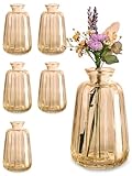 Praknu Lot de 6 Mini Vases en Verre - Style Vintage