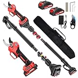 Sécateur Électrique Sans Fil avec Perche 2,5 m, 50MM