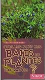 QUELLES SONT CES BAIES PLANTES SAUVAGES (0000)