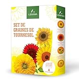 LERAVA® - Graines de Tournesol - 4 Variétés [Bio, Fabriqué