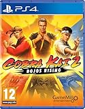 Cobra Kai 2 Dojos rising PS4
