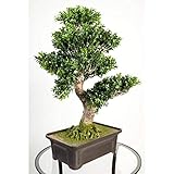 artplants.de Bonsai buis Artificiel en Coupe, 538 Feuilles,