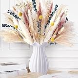 Pampa Séchées Naturelles Décoration, 85 Pièce Bouquet