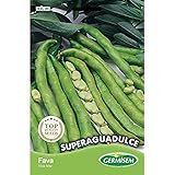 Germisem Graines de Fèves Super Aguadulce